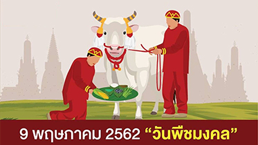 9 พฤษภาคม 2562