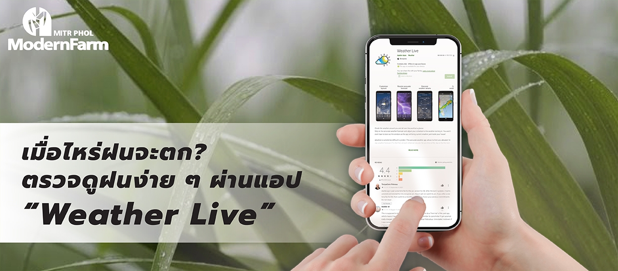 เมื่อไหร่ฝนจะตก? ตรวจดูฝนง่าย ๆ ผ่านแอป Weather Live