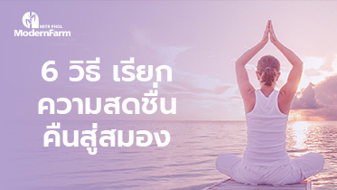 6 วิธี เรียกความสดชื่นคืนสู่สมอง