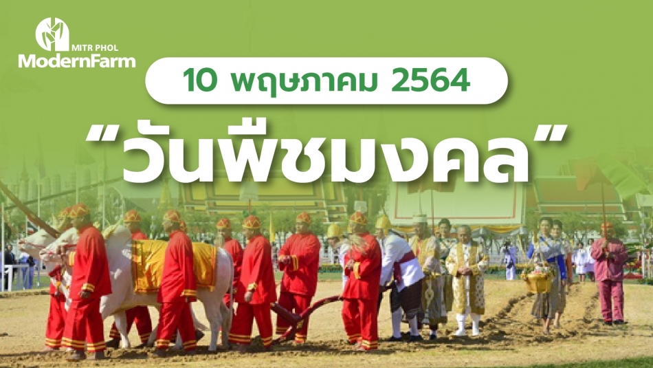 วันพืชมงคล วันเกษตรกรไทย ระลึกถึงความสำคัญของเกษตรกรรมในเศรษฐกิจของไทย