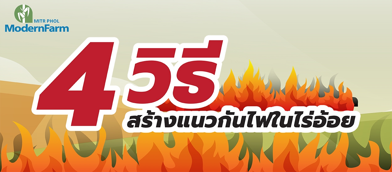 4 วิธีสร้างแนวกันไฟในไร่อ้อย