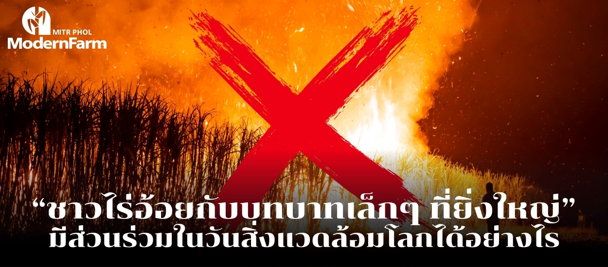 ชาวไร่อ้อยกับบทบาทเล็ก ๆ ที่ยิ่งใหญ่ มีส่วนร่วมในวันสิ่งแวดล้อมโลกได้อย่างไร