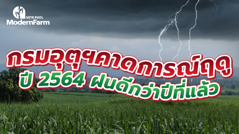 กรมอุตุฯคาดการณ์ฤดูฝนปี 2564 ฝนดีกว่าปีที่แล้ว