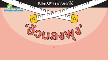 Slim Fit  มิตรชาวไร่ ตอน รู้ทันโรคอ้วนลงพุง