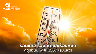 ร้อนแล้ว ร้อนอีก และร้อนหนัก ฤดูร้อนปี พ.ศ. 2567 เริ่มแล้ว!!