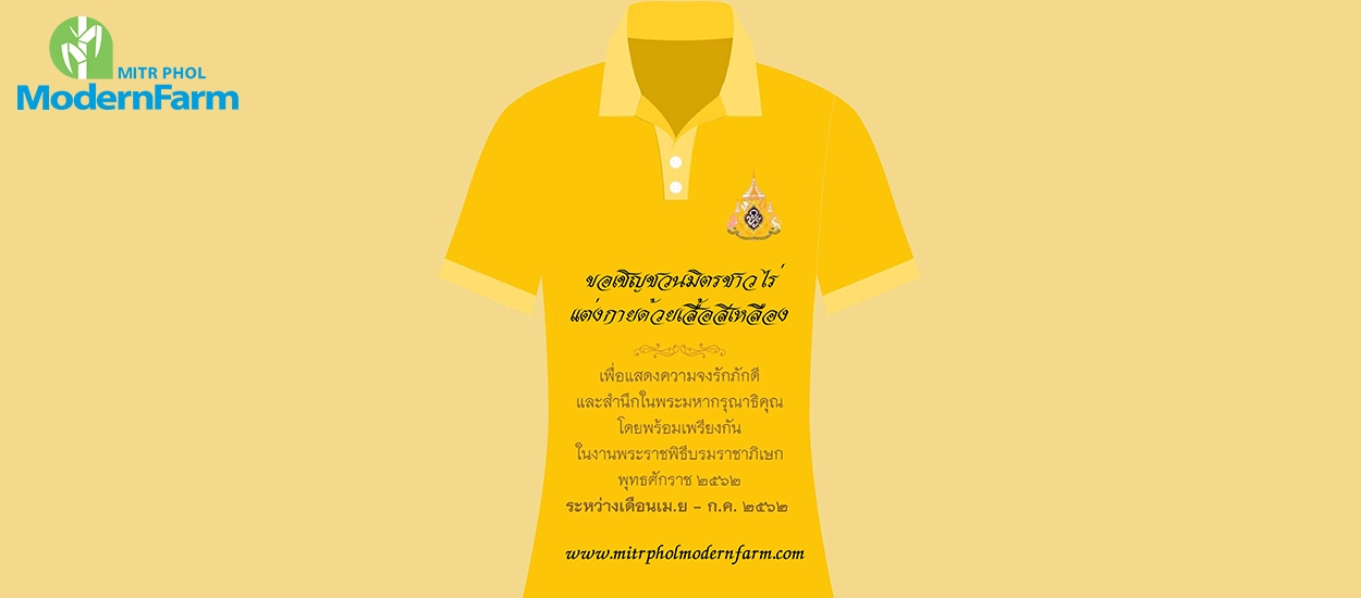 ขอเชิญชวนมิตรชาวไร่แต่งกายด้วยเสื้อสีเหลือง