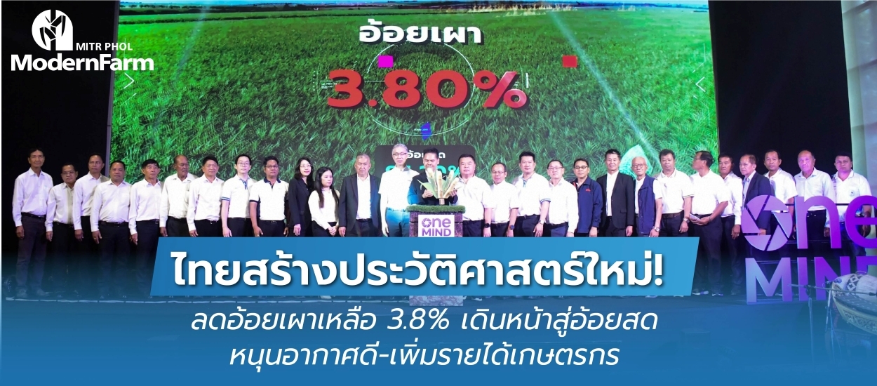ไทยสร้างประวัติศาสตร์ใหม่! ลดอ้อยเผาเหลือ 3.8% เดินหน้าสู่อ้อยสด หนุนอากาศดี-เพิ่มรายได้เกษตรกร