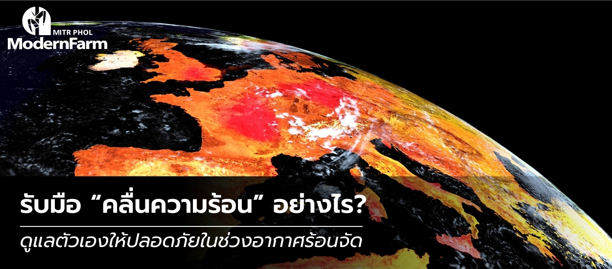 รับมือ คลื่นความร้อน อย่างไร? ดูแลตัวเองให้ปลอดภัยในช่วงอากาศร้อนจัด