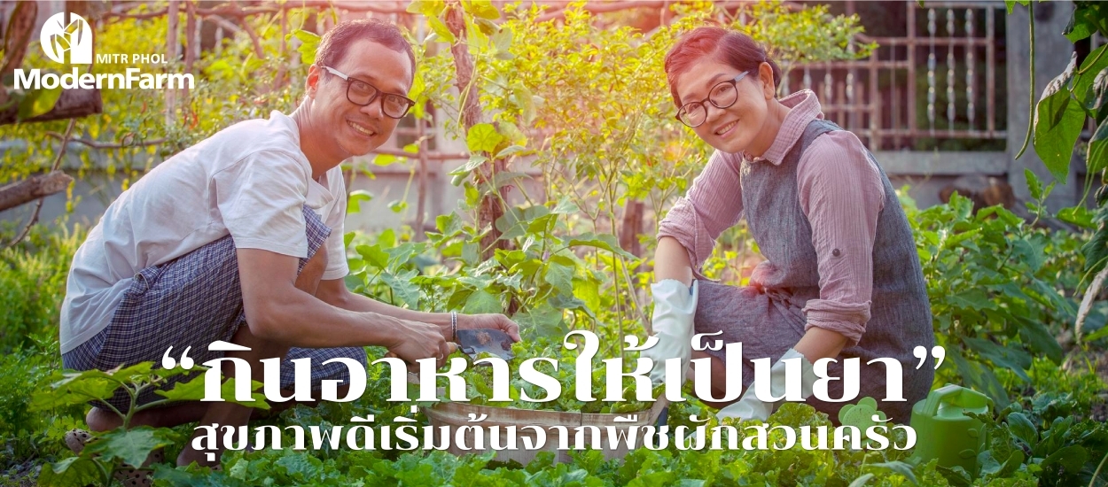 กินอาหารให้เป็นยา สุขภาพดีเริ่มต้นจากพืชผักสวนครัว