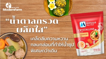 น้ำตาลกรวดผลึกใส เคล็ดลับความหวานกลมกล่อมที่ทำให้น้ำซุปพิเศษกว่าเดิม