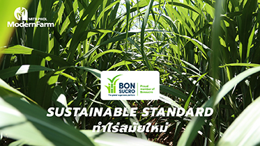 SUSTAINABLE STANDARD ทำไร่สมัยใหม่ต้องได้ BONSUCRO