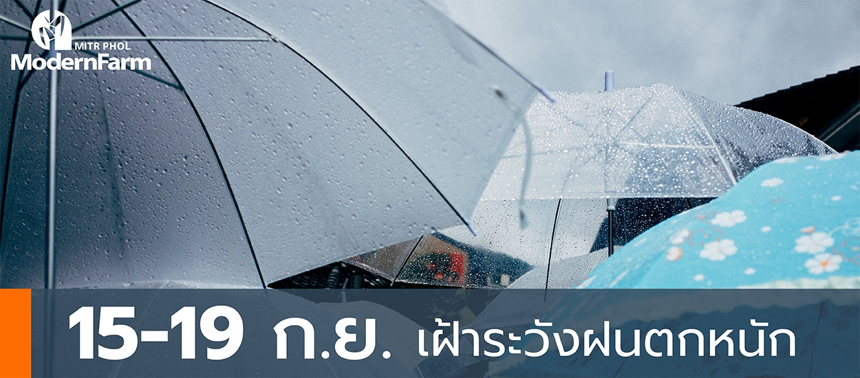 15-19 ก.ย. เฝ้าระวังฝนตกหนัก