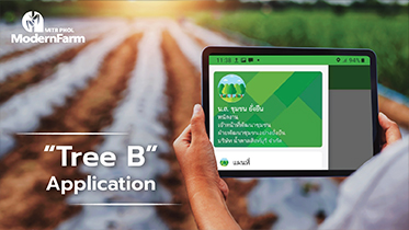 Tree B Application