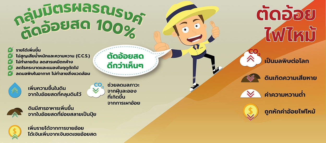 กลุ่มมิตรผลรณรงค์ ตัดอ้อยสด 100%