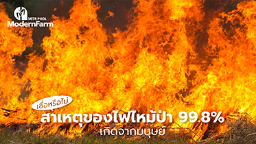 เชื่อหรือไม่ สาเหตุของไฟไหม้ป่า 99.8% เกิดจากมนุษย์