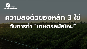 ความลงตัวของหลัก 3 ใช่ กับการทำ “เกษตรสมัยใหม่”