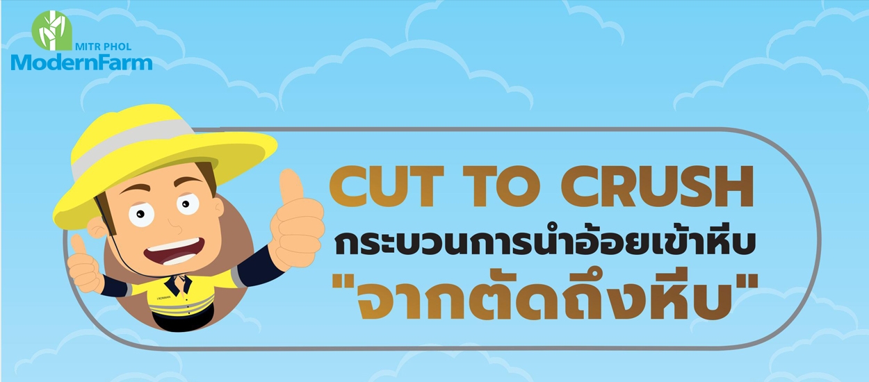 ขนอ้อยเข้าหีบใช้เวลาแค่ 6 ชั่วโมง ด้วย Cut To Crush !!