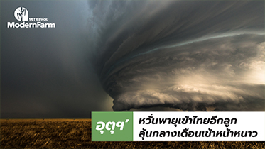 อุตุฯ’ หวั่นพายุเข้าไทยอีกลูก ลุ้นกลางเดือนเข้าหน้าหนาว