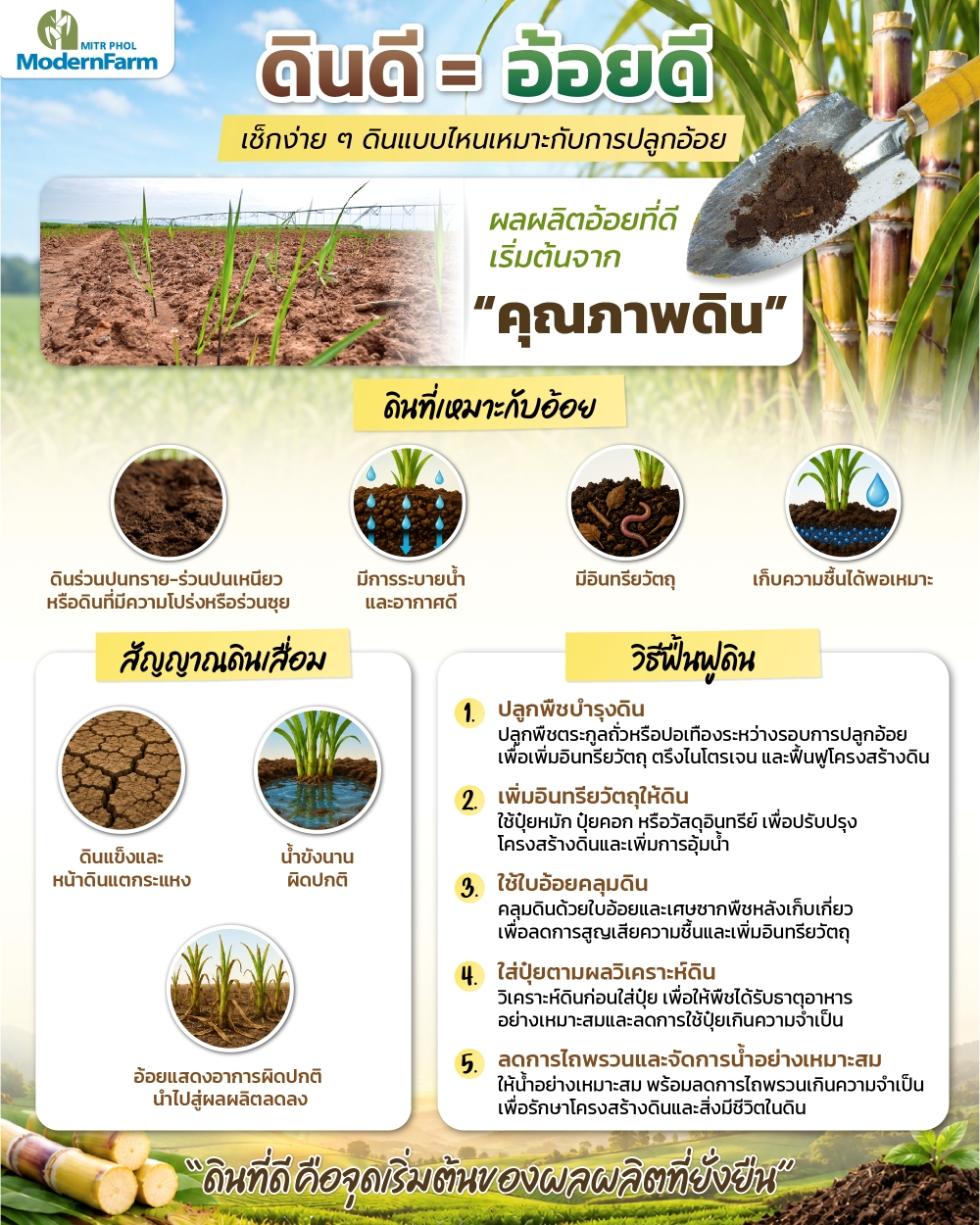 04_Infographic_ดินดี อ้อยดี-01.jpg