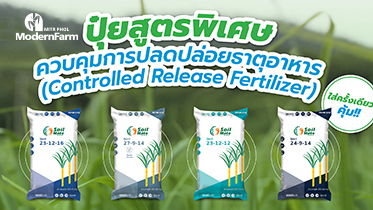 ปุ๋ยสูตรพิเศษ ควบคุมการปลดปล่อยธาตุอาหาร (Controlled Release Fertilizer) ใส่ครั้งเดียวคุ้ม