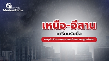 16-22 มี.ค. 65 นี้ พี่น้องชาวไร่ เหนือ-อีสาน เตรียมรับมือพายุฝนฟ้าคะนอง-ลมกระโชกแรง-ลูกเห็บตก