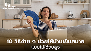 10 วิธีง่าย ๆ ช่วยให้บ้านเย็นสบาย แบบไม่ใช้งบสูง