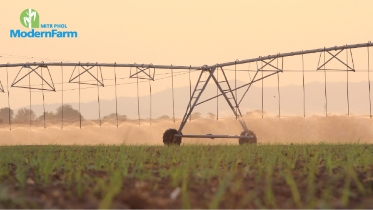 บริหารจัดการน้ำอย่างไรให้ครบสูตร ผลผลิตงอกงาม