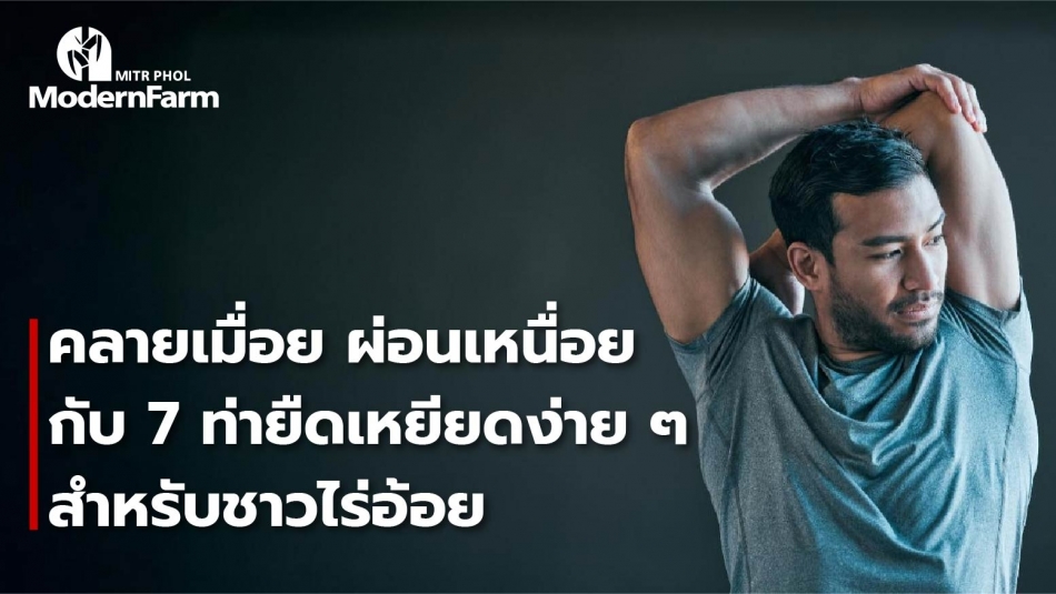 คลายเมื่อย ผ่อนเหนื่อยกับ 7 ท่ายืดเหยียดง่าย ๆ