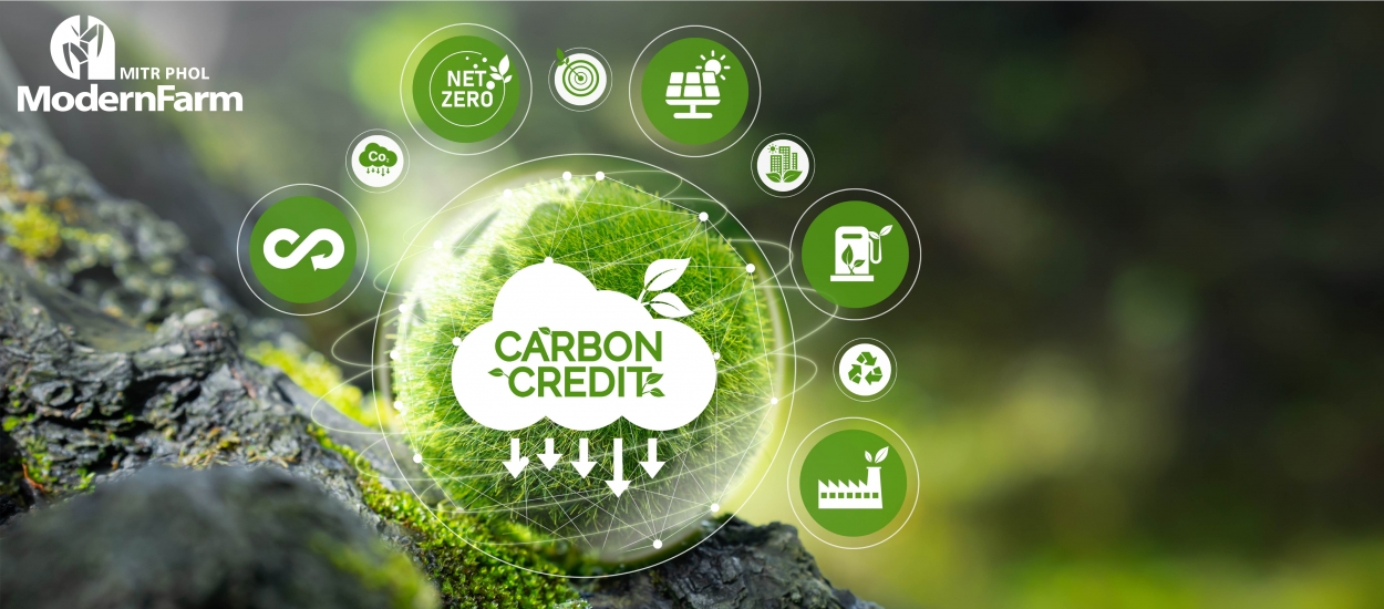 Carbon Credit กับเกษตรกรยุคใหม่ โอกาสใหม่ของการทำเกษตรอย่างยั่งยืน