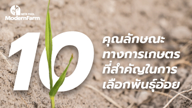 10 คุณลักษณะทางการเกษตรที่สำคัญในการเลือกพันธุ์อ้อย