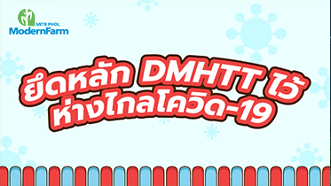 ยึดหลัก DMHTT ไว้ ห่างไกลโควิด-19