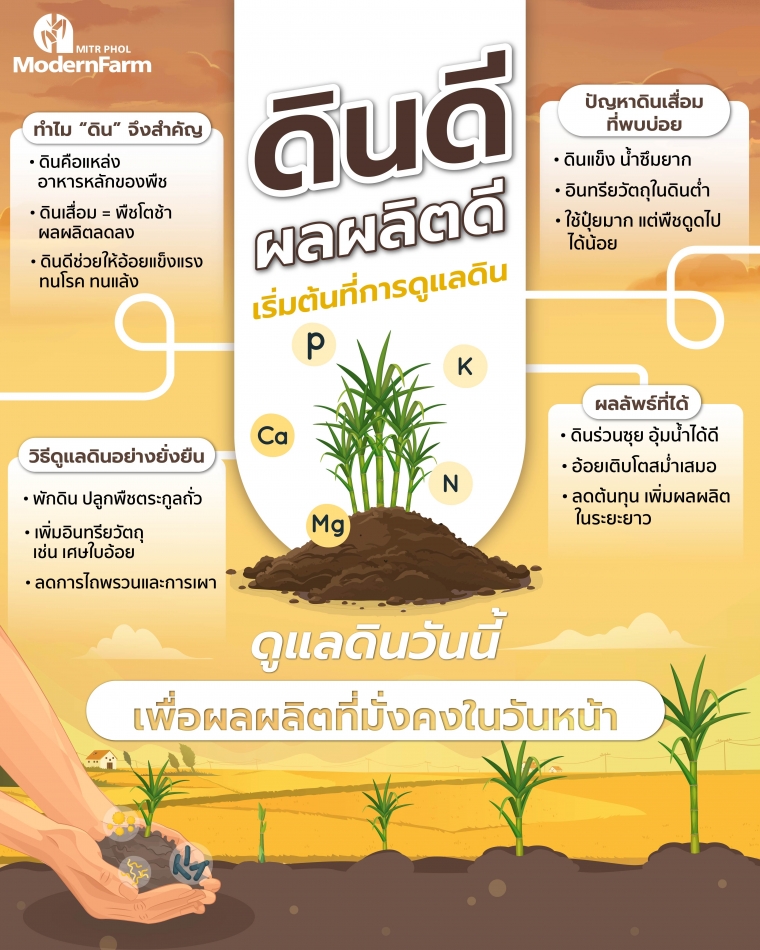 03_info_ดินดี ผลผลิตดี-01.jpeg