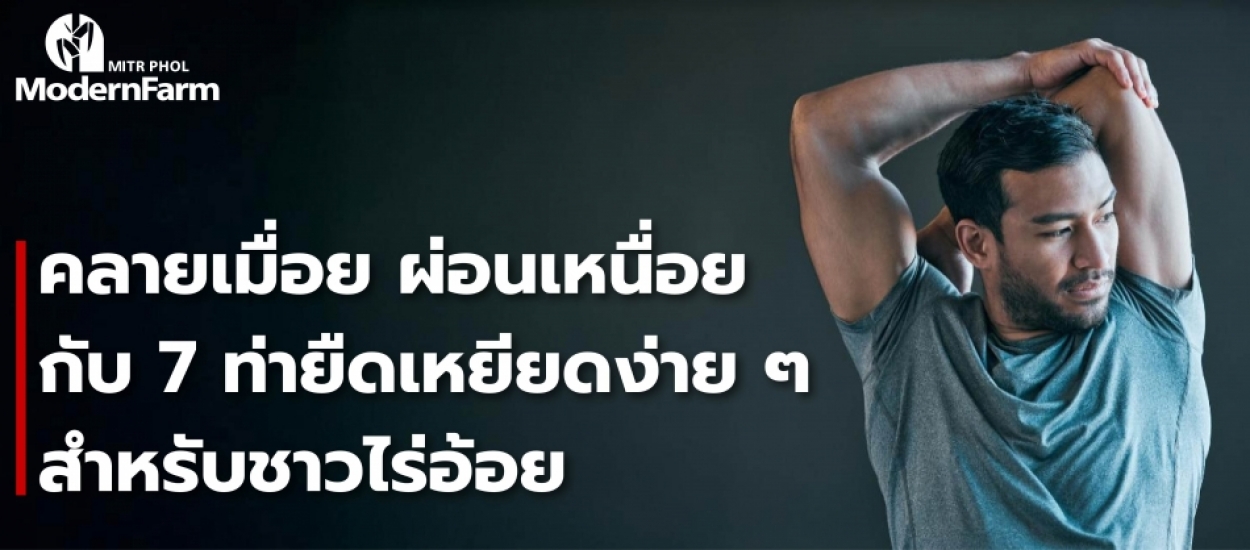 คลายเมื่อย ผ่อนเหนื่อยกับ 7 ท่ายืดเหยียดง่าย ๆ