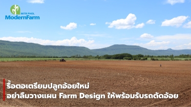 รื้อตอเตรียมปลูกอ้อยใหม่ อย่าลืมวางแผน Farm Design ให้พร้อมรับรถตัดอ้อย