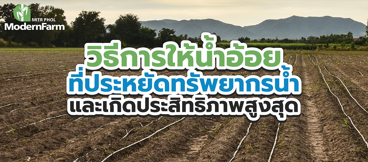 วิธีการให้น้ำอ้อยที่ประหยัดทรัพยากรน้ำและเกิดประสิทธิภาพสูงสุด