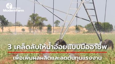 เคล็ดลับให้น้ำอ้อยแบบมืออาชีพ เพื่อเพิ่มผลผลิตและลดต้นทุนแรงงาน