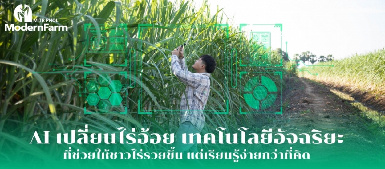 AI เปลี่ยนไร่อ้อย เทคโนโลยีอัจฉริยะที่ช่วยให้ชาวไร่รวยขึ้น เรียนรู้ง่ายกว่าที่คิด