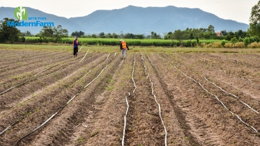 จัดการไร่อ้อยอย่างฉลาด ลดต้นทุนต่อไร่ เพิ่มกำไรแบบยั่งยืน