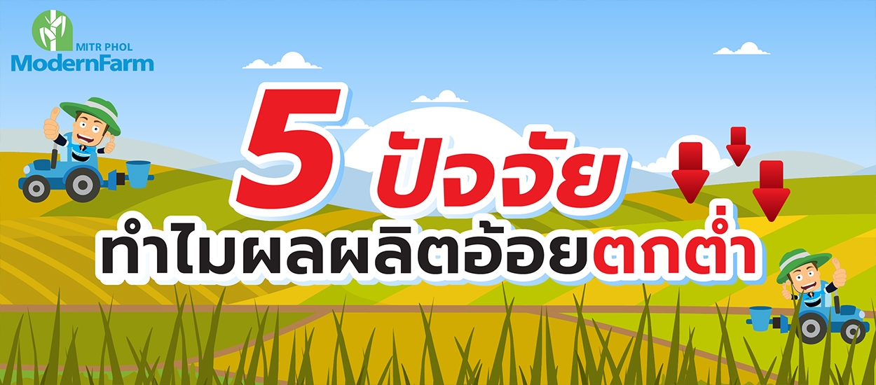 5 ปัจจัยหลัก ทำไมผลผลิตอ้อยถึงตกต่ำ