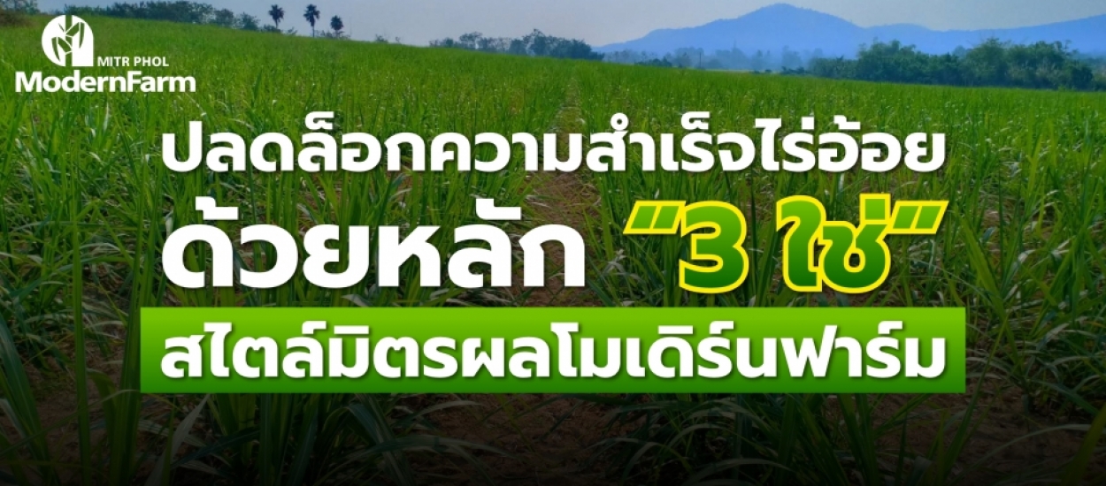 ปลดล็อกความสำเร็จไร่อ้อยด้วยหลัก “3 ใช่” สไตล์มิตรผลโมเดิร์นฟาร์ม