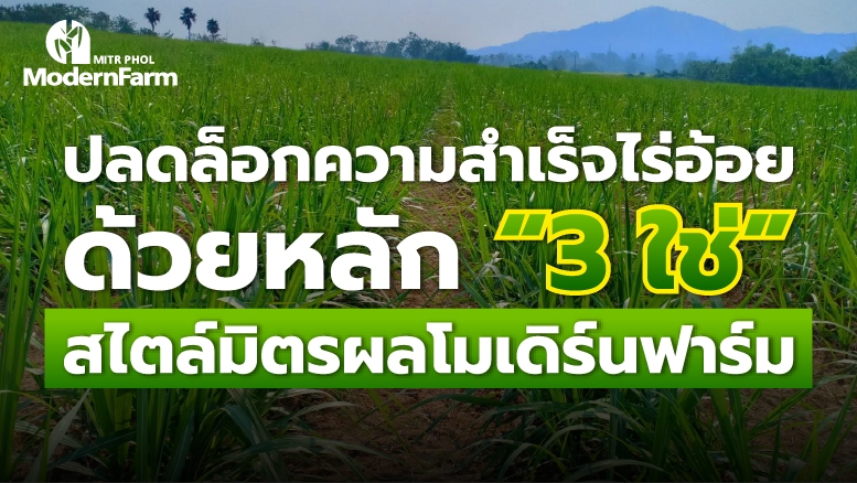 ปลดล็อกความสำเร็จไร่อ้อยด้วยหลัก “3 ใช่” สไตล์มิตรผลโมเดิร์นฟาร์ม