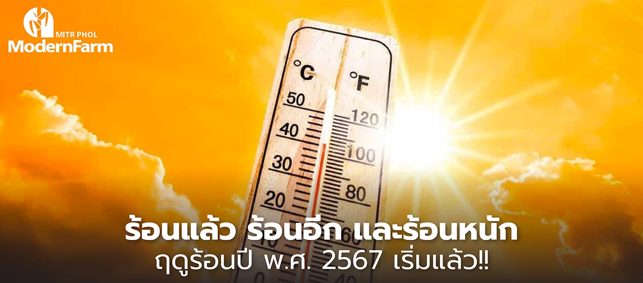 ร้อนแล้ว ร้อนอีก และร้อนหนัก ฤดูร้อนปี พ.ศ. 2567 เริ่มแล้ว!!