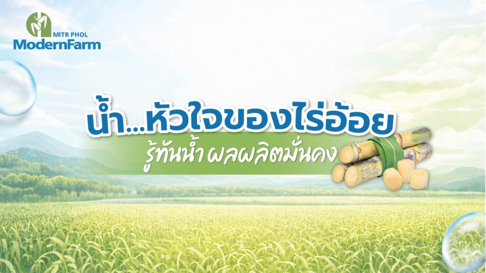 น้ำ…หัวใจของไร่อ้อย รู้ทันน้ำ ผลผลิตมั่นคง