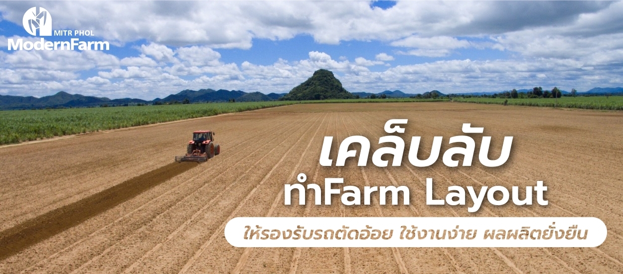 เคล็ดลับทำ Farm Layout ให้รองรับรถตัดอ้อย ใช้งานง่าย ผลผลิตยั่งยืน