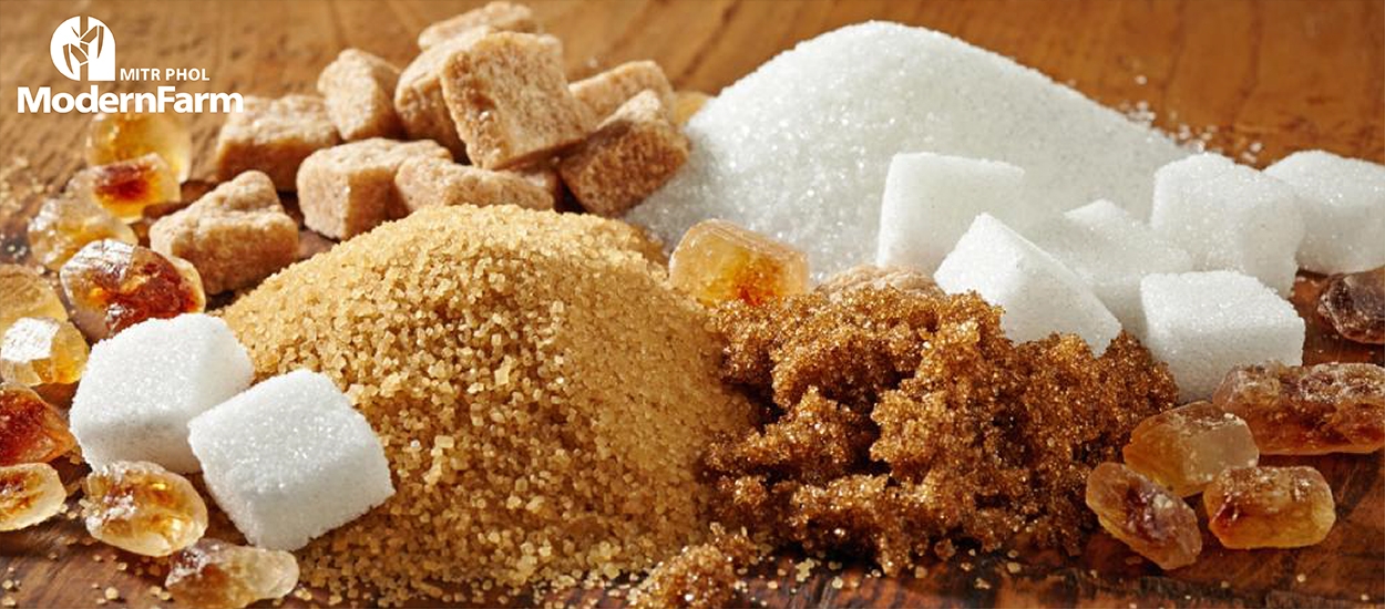น้ำตาลอ้อยธรรมชาติ น้ำตาลทรายขาว น้ำตาลทรายแดง ต่างกันอย่างไร