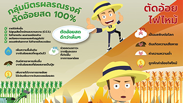 กลุ่มมิตรผลรณรงค์ ตัดอ้อยสด 100%