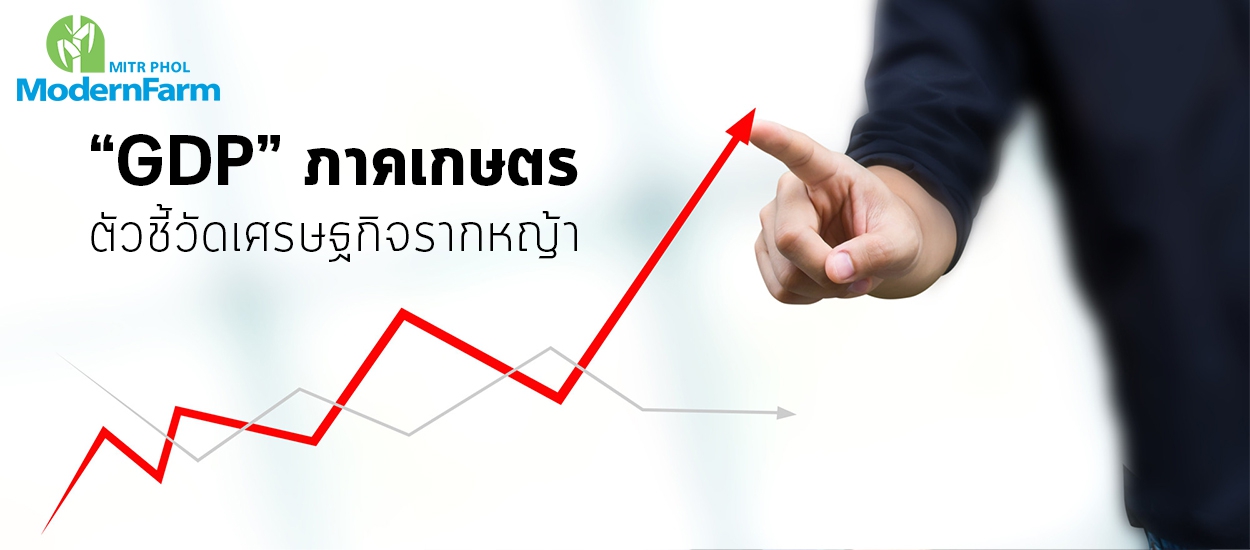 “GDP” ภาคเกษตร ตัวชี้วัดเศรษฐกิจรากหญ้า