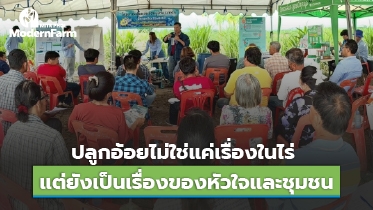 ปลูกอ้อยไม่ใช่แค่เรื่องในไร่ แต่ยังเป็นเรื่องของหัวใจและชุมชน