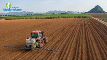 ดินดีคือก้าวแรกสู่ผลผลิตงาม