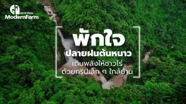 พักใจปลายฝนต้นหนาว : เติมพลังให้ชาวไร่ด้วยทริปเล็ก ๆ ใกล้บ้าน